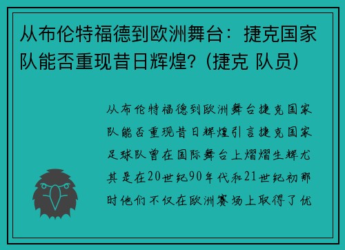 从布伦特福德到欧洲舞台：捷克国家队能否重现昔日辉煌？(捷克 队员)