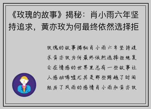 《玫瑰的故事》揭秘：肖小雨六年坚持追求，黄亦玫为何最终依然选择拒绝复合？