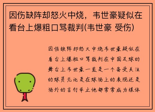 因伤缺阵却怒火中烧，韦世豪疑似在看台上爆粗口骂裁判(韦世豪 受伤)