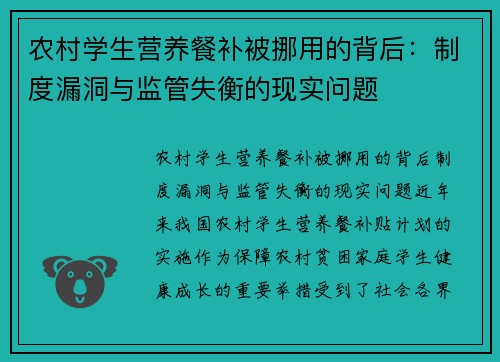 农村学生营养餐补被挪用的背后:制度漏洞与监管失衡的现实问题