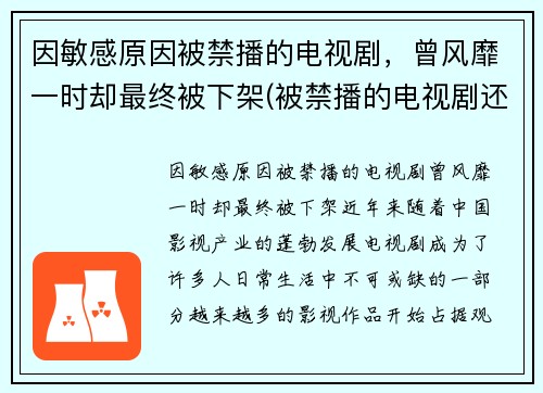 因敏感原因被禁播的电视剧，曾风靡一时却最终被下架(被禁播的电视剧还有版权吗)
