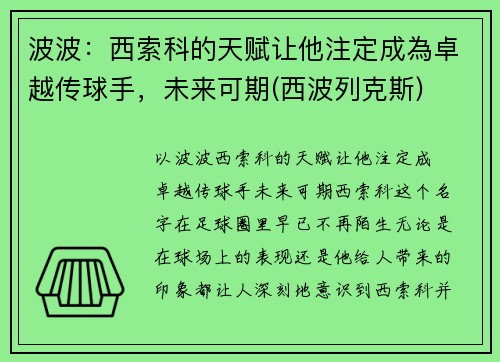 波波:西索科的天赋让他注定成為卓越传球手,未来可期(西波列克斯) 波波:西索科的天赋让他注定成為卓越传球手,未来可期(西波列克斯)