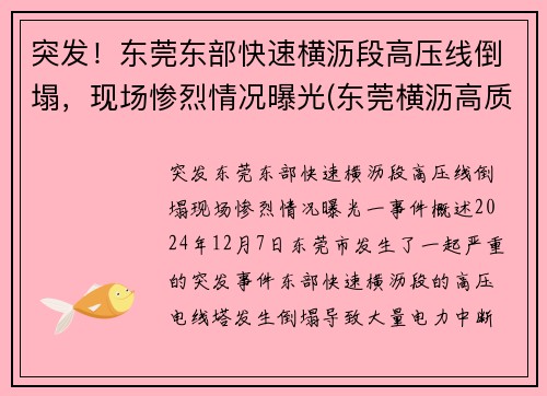 突发!东莞东部快速横沥段高压线倒塌,现场惨烈情况曝光(东莞横沥高质量低压线性恒流哪家好) 突发!东莞东部快速横沥段高压线倒塌,现场惨烈情况曝光(东莞横沥高质量低压线性恒流哪家好)
